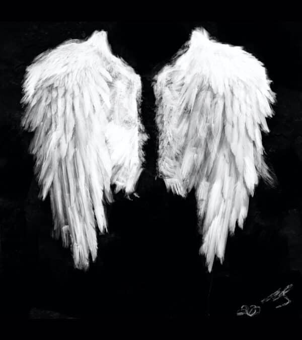 Weiße Flügel auf Marmor Grund // soft wings